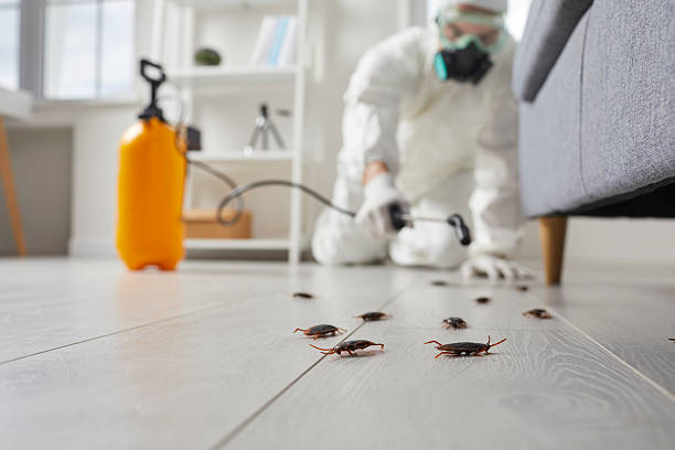 Trusted Emergency Pest Control service in Kendall Park, NJ - Nex Pest Control