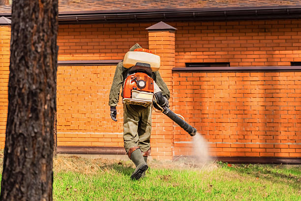 Trusted Bed Bug Control service in Kendall Park, NJ - Nex Pest Control